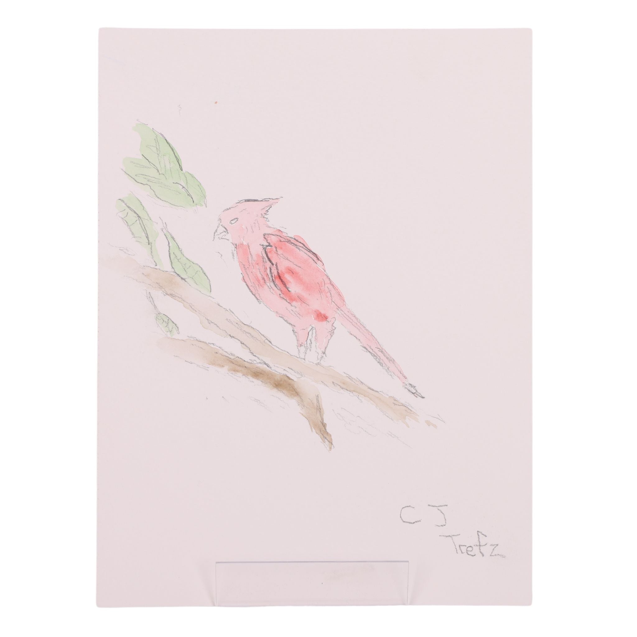 Cardinal 9 x 12 Mixed Media by CJ T.