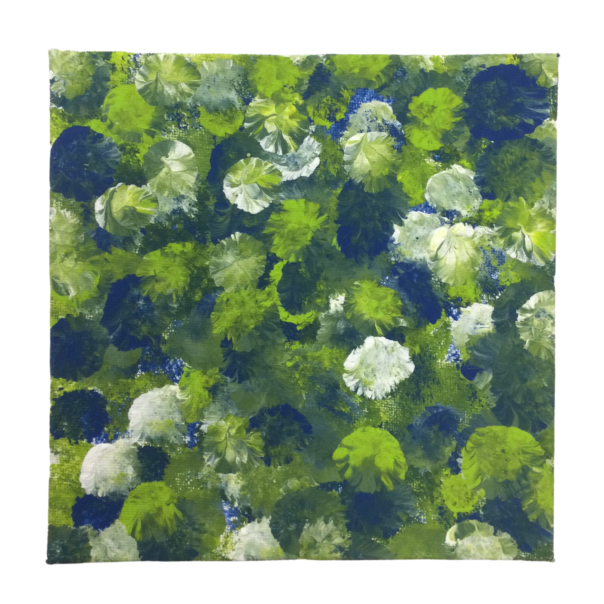 Balloon Flower 6x6 Painting by Sean M.