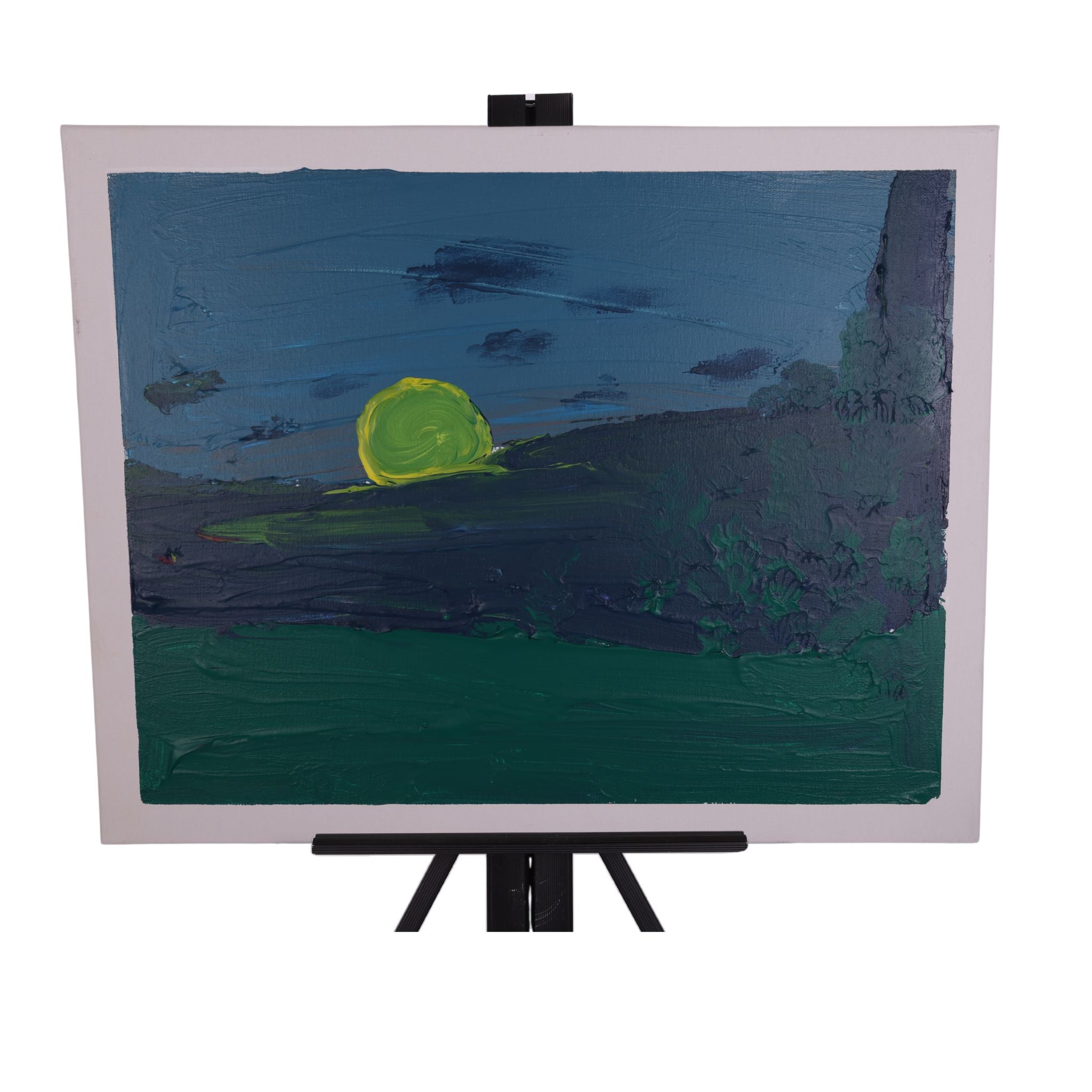 Midnight 20 x 16 Painting by Chris P.