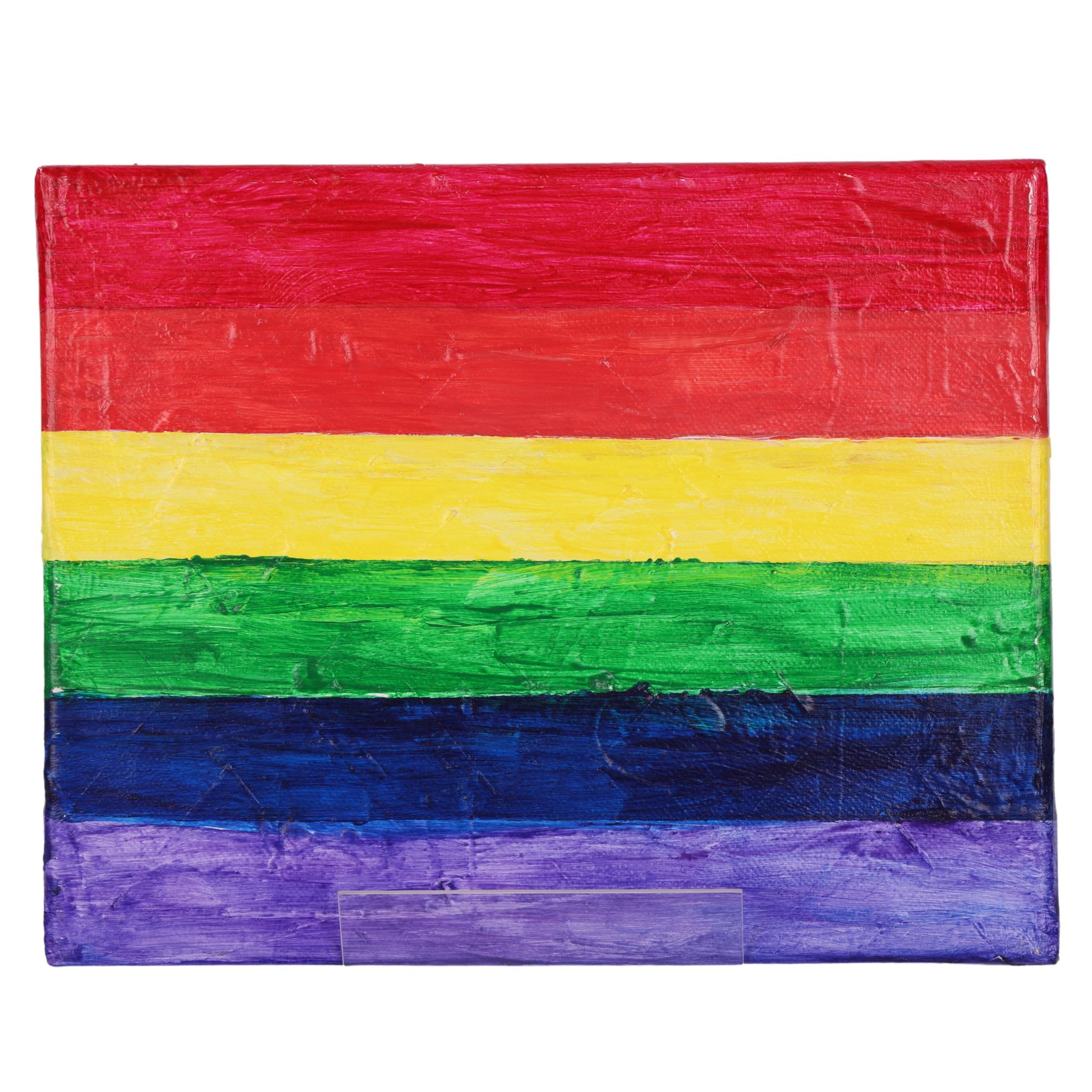 Rainbow Flag 8 x 10 Painting by Michael C.