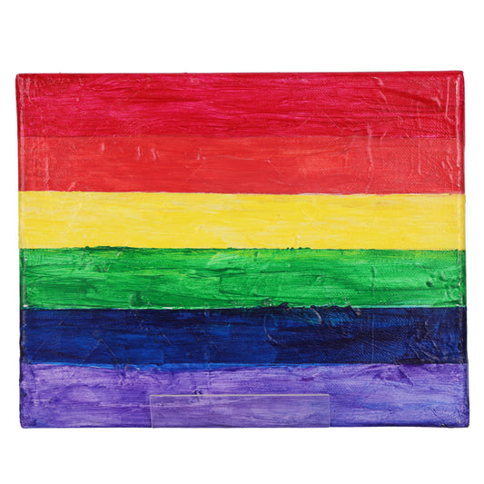Rainbow Flag 8 x 10 Painting by Michael C.