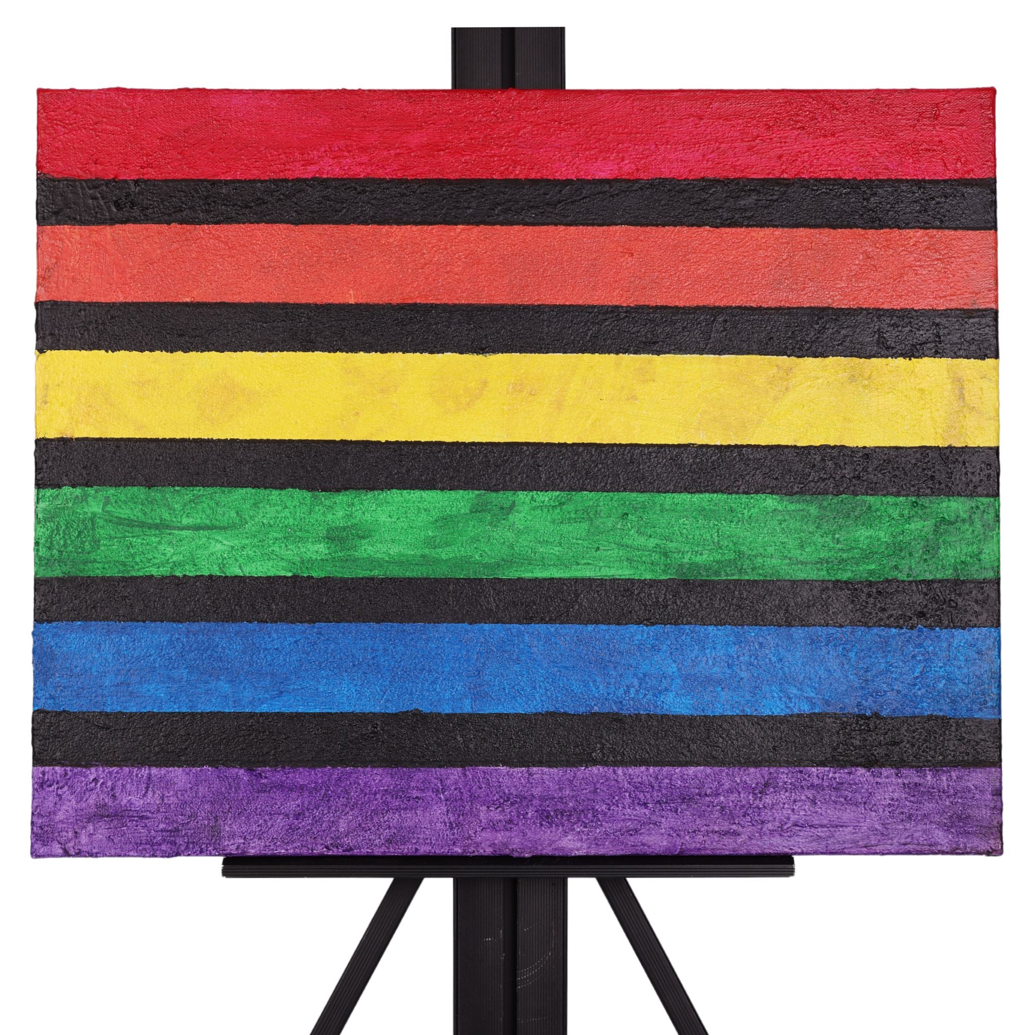 Rainbow Flag LG 16 x 20 Painting by Michael C.